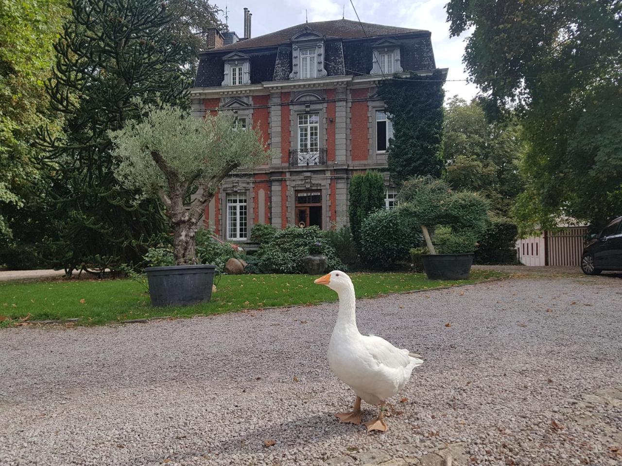 Chateau Lambert Moulinsart Hotel, Shuttle Airport, Long Term Parking, Snooker, Large Terrasse, Dinner, Breakfast Charleroi Luaran gambar